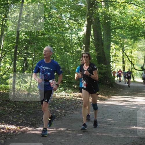 22.09.2024 - 32. Volkslauf durch das schöne Alstertal Miley Keyser http://msf.ph/oto/7135854 22.09.2024 10:44:33 Laufen 246 meine-sportfotos.de