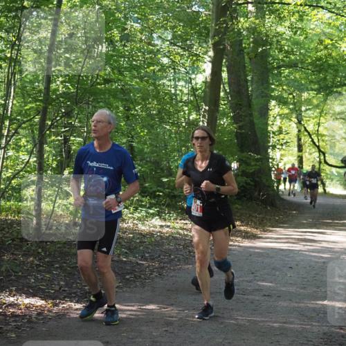 22.09.2024 - 32. Volkslauf durch das schöne Alstertal Miley Keyser http://msf.ph/oto/7135856 22.09.2024 10:44:33 Laufen  meine-sportfotos.de