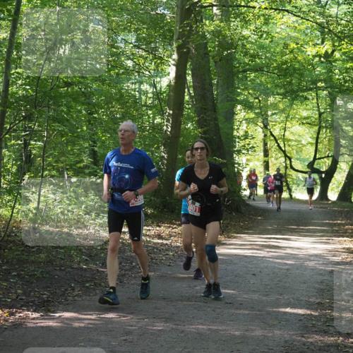 22.09.2024 - 32. Volkslauf durch das schöne Alstertal Miley Keyser http://msf.ph/oto/7135858 22.09.2024 10:44:32 Laufen 2401 meine-sportfotos.de