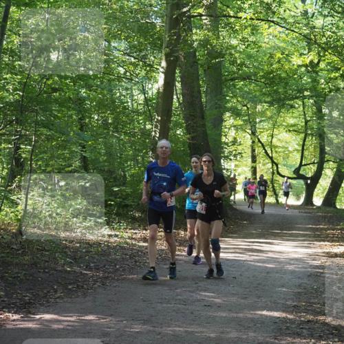 22.09.2024 - 32. Volkslauf durch das schöne Alstertal Miley Keyser http://msf.ph/oto/7135860 22.09.2024 10:44:31 Laufen 246 meine-sportfotos.de