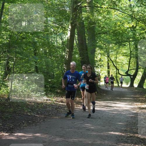 22.09.2024 - 32. Volkslauf durch das schöne Alstertal Miley Keyser http://msf.ph/oto/7135861 22.09.2024 10:44:31 Laufen  meine-sportfotos.de