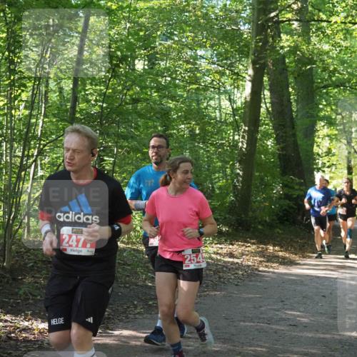 22.09.2024 - 32. Volkslauf durch das schöne Alstertal Miley Keyser http://msf.ph/oto/7135865 22.09.2024 10:44:29 Laufen 247, 254 meine-sportfotos.de