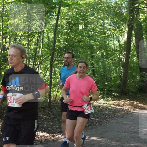 22.09.2024 - 32. Volkslauf durch das schöne Alstertal Miley Keyser http://msf.ph/oto/7135868 22.09.2024 10:44:29 Laufen 247, 254 meine-sportfotos.de