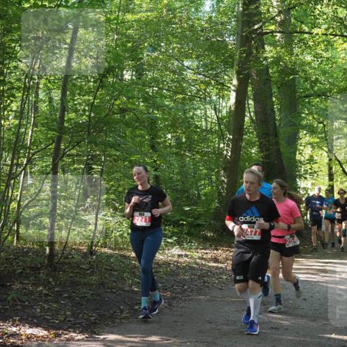 22.09.2024 - 32. Volkslauf durch das schöne Alstertal Miley Keyser http://msf.ph/oto/7135872 22.09.2024 10:44:27 Laufen 2477 meine-sportfotos.de