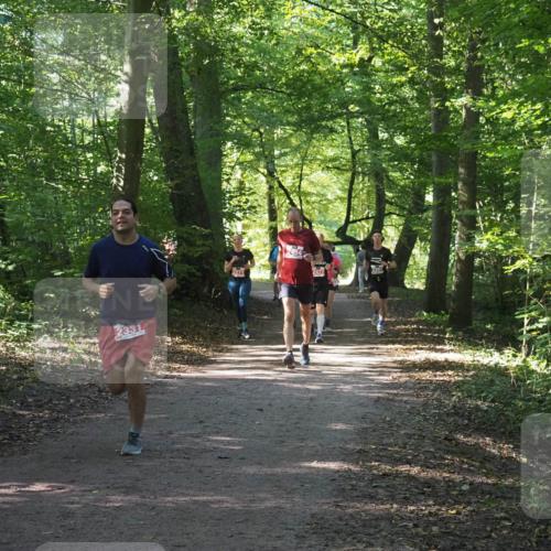 22.09.2024 - 32. Volkslauf durch das schöne Alstertal Miley Keyser http://msf.ph/oto/7135887 22.09.2024 10:44:23 Laufen 2331, 2454, 2477, 3391 meine-sportfotos.de