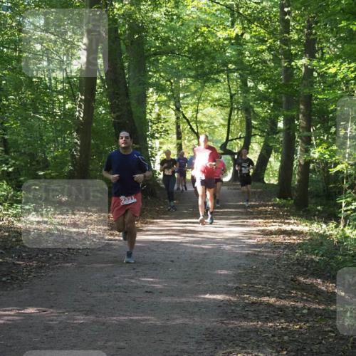 22.09.2024 - 32. Volkslauf durch das schöne Alstertal Miley Keyser http://msf.ph/oto/7135889 22.09.2024 10:44:22 Laufen 2331 meine-sportfotos.de