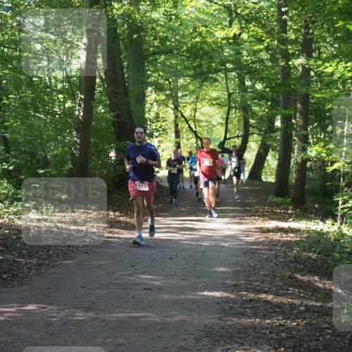 22.09.2024 - 32. Volkslauf durch das schöne Alstertal Miley Keyser http://msf.ph/oto/7135890 22.09.2024 10:44:21 Laufen  meine-sportfotos.de