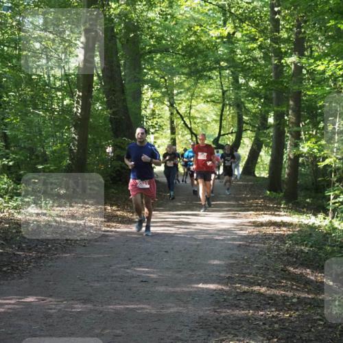 22.09.2024 - 32. Volkslauf durch das schöne Alstertal Miley Keyser http://msf.ph/oto/7135893 22.09.2024 10:44:21 Laufen  meine-sportfotos.de
