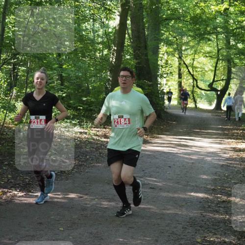 22.09.2024 - 32. Volkslauf durch das schöne Alstertal Miley Keyser http://msf.ph/oto/7135898 22.09.2024 10:44:12 Laufen 2314, 2184 meine-sportfotos.de