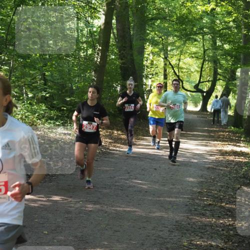 22.09.2024 - 32. Volkslauf durch das schöne Alstertal Miley Keyser http://msf.ph/oto/7135903 22.09.2024 10:44:10 Laufen 24350, 2947, 2314, 2370, 184 meine-sportfotos.de