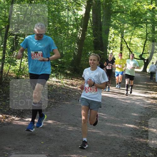 22.09.2024 - 32. Volkslauf durch das schöne Alstertal Miley Keyser http://msf.ph/oto/7135907 22.09.2024 10:44:09 Laufen 2442, 2435, 2314 meine-sportfotos.de