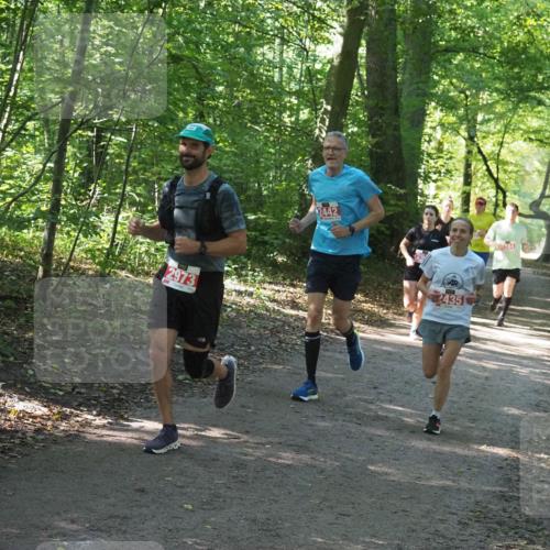 22.09.2024 - 32. Volkslauf durch das schöne Alstertal Miley Keyser http://msf.ph/oto/7135910 22.09.2024 10:44:08 Laufen 2973, 2442, 2435 meine-sportfotos.de