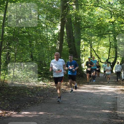 22.09.2024 - 32. Volkslauf durch das schöne Alstertal Miley Keyser http://msf.ph/oto/7135925 22.09.2024 10:44:04 Laufen 2417, 2973 meine-sportfotos.de