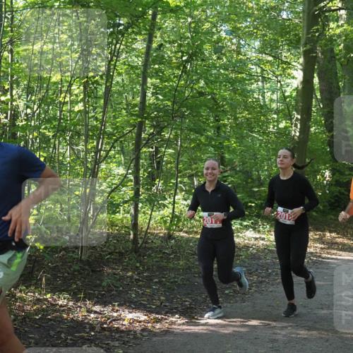 22.09.2024 - 32. Volkslauf durch das schöne Alstertal Miley Keyser http://msf.ph/oto/7135934 22.09.2024 10:43:53 Laufen 2420, 201, 2346 meine-sportfotos.de