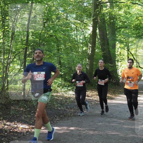 22.09.2024 - 32. Volkslauf durch das schöne Alstertal Miley Keyser http://msf.ph/oto/7135935 22.09.2024 10:43:52 Laufen 2420, 2011, 2010, 2346 meine-sportfotos.de