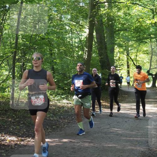 22.09.2024 - 32. Volkslauf durch das schöne Alstertal Miley Keyser http://msf.ph/oto/7135938 22.09.2024 10:43:51 Laufen 2562, 2420, 2346 meine-sportfotos.de
