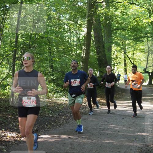 22.09.2024 - 32. Volkslauf durch das schöne Alstertal Miley Keyser http://msf.ph/oto/7135939 22.09.2024 10:43:51 Laufen 2562, 2420, 2011, 2010, 2346 meine-sportfotos.de