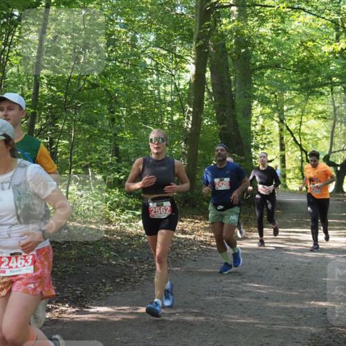 22.09.2024 - 32. Volkslauf durch das schöne Alstertal Miley Keyser http://msf.ph/oto/7135940 22.09.2024 10:43:50 Laufen 2463, 2420, 2562, 2340 meine-sportfotos.de