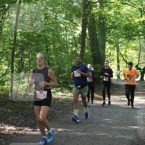 22.09.2024 - 32. Volkslauf durch das schöne Alstertal Miley Keyser http://msf.ph/oto/7135941 22.09.2024 10:43:51 Laufen 2562, 2420, 2011, 2346 meine-sportfotos.de