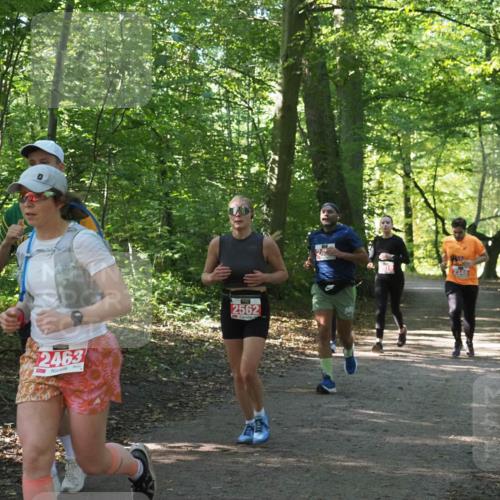 22.09.2024 - 32. Volkslauf durch das schöne Alstertal Miley Keyser http://msf.ph/oto/7135943 22.09.2024 10:43:50 Laufen 2463, 2562 meine-sportfotos.de