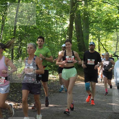 22.09.2024 - 32. Volkslauf durch das schöne Alstertal Miley Keyser http://msf.ph/oto/7135953 22.09.2024 10:43:46 Laufen 2109, 2235, 2238 meine-sportfotos.de