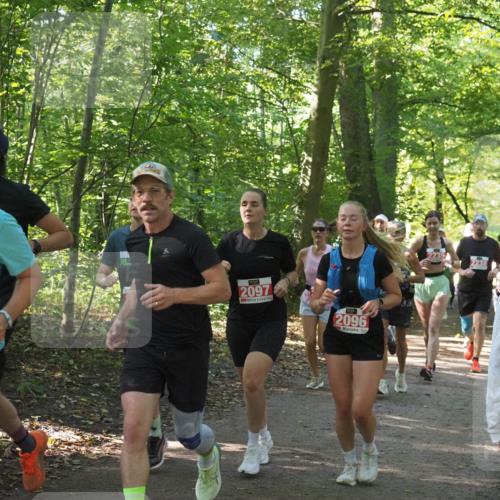 22.09.2024 - 32. Volkslauf durch das schöne Alstertal Miley Keyser http://msf.ph/oto/7135956 22.09.2024 10:43:44 Laufen 2511, 2097, 2096 meine-sportfotos.de