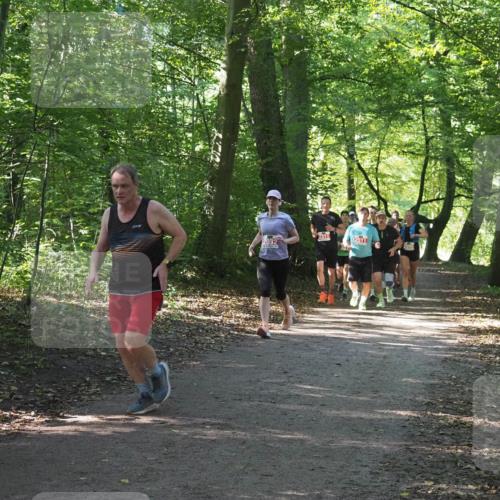 22.09.2024 - 32. Volkslauf durch das schöne Alstertal Miley Keyser http://msf.ph/oto/7135960 22.09.2024 10:43:39 Laufen 2032, 2511 meine-sportfotos.de