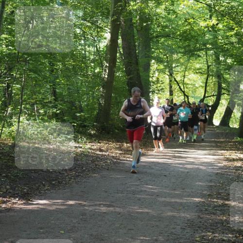 22.09.2024 - 32. Volkslauf durch das schöne Alstertal Miley Keyser http://msf.ph/oto/7135964 22.09.2024 10:43:38 Laufen  meine-sportfotos.de