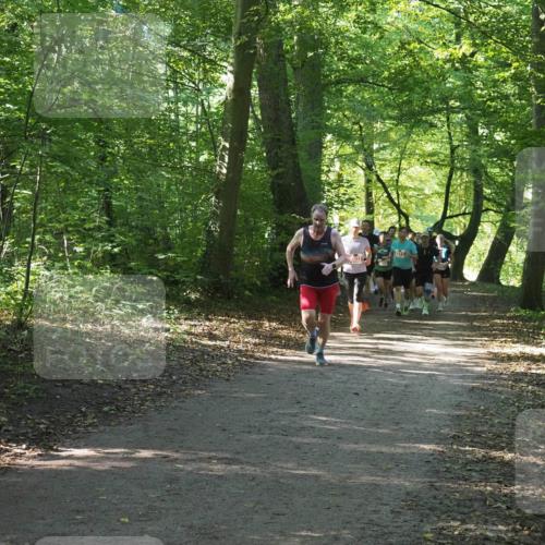 22.09.2024 - 32. Volkslauf durch das schöne Alstertal Miley Keyser http://msf.ph/oto/7135967 22.09.2024 10:43:37 Laufen  meine-sportfotos.de