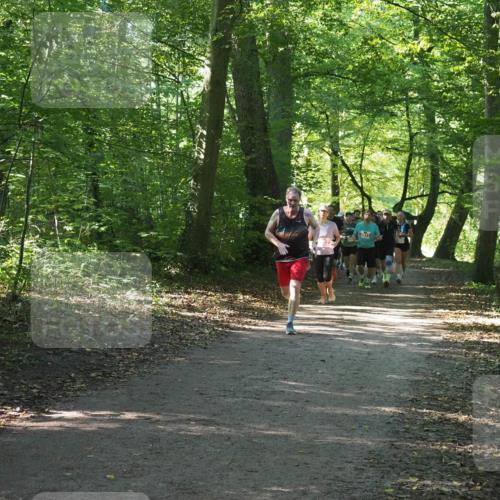 22.09.2024 - 32. Volkslauf durch das schöne Alstertal Miley Keyser http://msf.ph/oto/7135968 22.09.2024 10:43:37 Laufen  meine-sportfotos.de