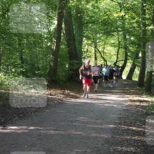 22.09.2024 - 32. Volkslauf durch das schöne Alstertal Miley Keyser http://msf.ph/oto/7135969 22.09.2024 10:43:36 Laufen 2032 meine-sportfotos.de