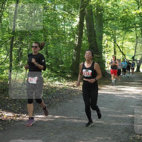 22.09.2024 - 32. Volkslauf durch das schöne Alstertal Miley Keyser http://msf.ph/oto/7135973 22.09.2024 10:43:35 Laufen 2168, 2412 meine-sportfotos.de