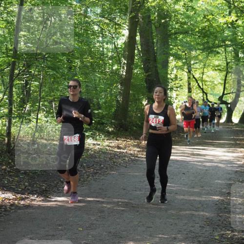 22.09.2024 - 32. Volkslauf durch das schöne Alstertal Miley Keyser http://msf.ph/oto/7135975 22.09.2024 10:43:35 Laufen 2168, 2412 meine-sportfotos.de