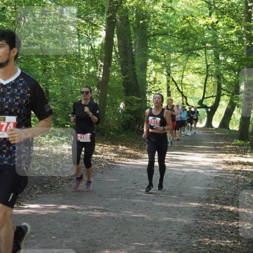 22.09.2024 - 32. Volkslauf durch das schöne Alstertal Miley Keyser http://msf.ph/oto/7135977 22.09.2024 10:43:34 Laufen 2174, 2168, 2412 meine-sportfotos.de