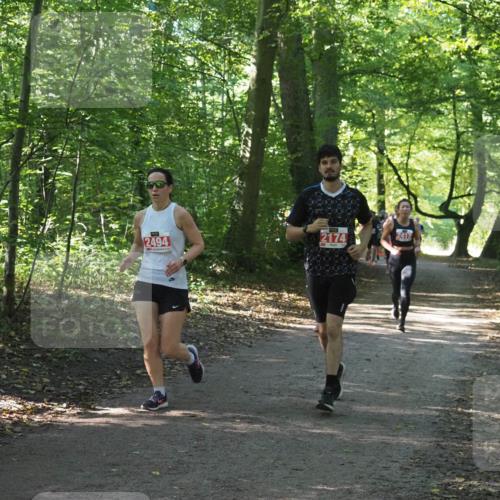 22.09.2024 - 32. Volkslauf durch das schöne Alstertal Miley Keyser http://msf.ph/oto/7135981 22.09.2024 10:43:33 Laufen 2494, 2174, 2412 meine-sportfotos.de