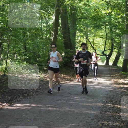 22.09.2024 - 32. Volkslauf durch das schöne Alstertal Miley Keyser http://msf.ph/oto/7135985 22.09.2024 10:43:32 Laufen 2494, 2168, 2174 meine-sportfotos.de