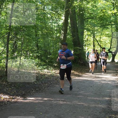 22.09.2024 - 32. Volkslauf durch das schöne Alstertal Miley Keyser http://msf.ph/oto/7135987 22.09.2024 10:43:29 Laufen 2486 meine-sportfotos.de