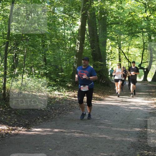 22.09.2024 - 32. Volkslauf durch das schöne Alstertal Miley Keyser http://msf.ph/oto/7135995 22.09.2024 10:43:29 Laufen 2486 meine-sportfotos.de