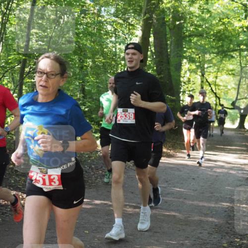 22.09.2024 - 32. Volkslauf durch das schöne Alstertal Miley Keyser http://msf.ph/oto/7136004 22.09.2024 10:43:24 Laufen 2448, 2513, 2539 meine-sportfotos.de