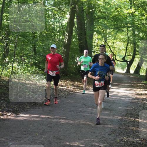 22.09.2024 - 32. Volkslauf durch das schöne Alstertal Miley Keyser http://msf.ph/oto/7136008 22.09.2024 10:43:22 Laufen 2448, 2459, 2513 meine-sportfotos.de