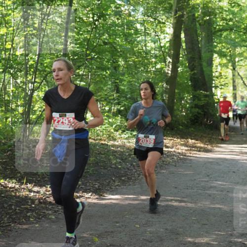 22.09.2024 - 32. Volkslauf durch das schöne Alstertal Miley Keyser http://msf.ph/oto/7136011 22.09.2024 10:43:18 Laufen 2293, 2039 meine-sportfotos.de