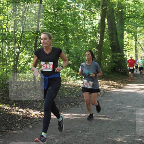 22.09.2024 - 32. Volkslauf durch das schöne Alstertal Miley Keyser http://msf.ph/oto/7136012 22.09.2024 10:43:18 Laufen 2293, 2039 meine-sportfotos.de