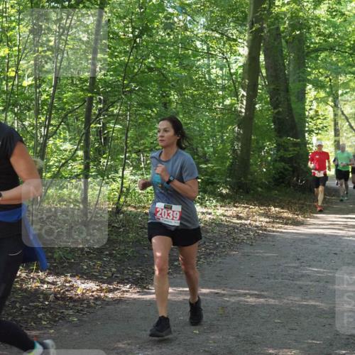 22.09.2024 - 32. Volkslauf durch das schöne Alstertal Miley Keyser http://msf.ph/oto/7136014 22.09.2024 10:43:18 Laufen 293, 2039 meine-sportfotos.de