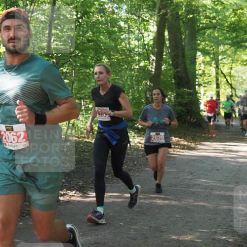 22.09.2024 - 32. Volkslauf durch das schöne Alstertal Miley Keyser http://msf.ph/oto/7136020 22.09.2024 10:43:17 Laufen 2062, 2039 meine-sportfotos.de