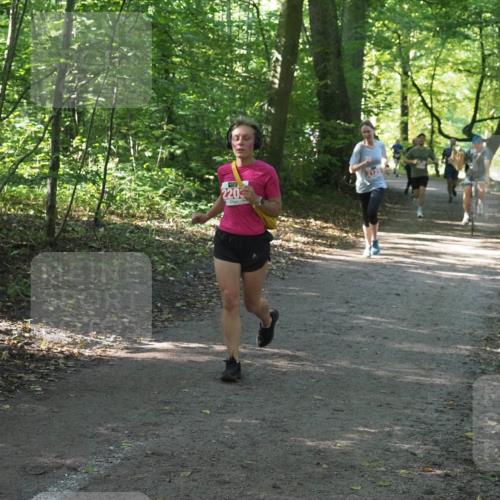 22.09.2024 - 32. Volkslauf durch das schöne Alstertal Miley Keyser http://msf.ph/oto/7136034 22.09.2024 10:43:08 Laufen 2203 meine-sportfotos.de