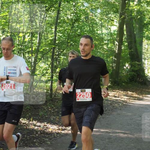 22.09.2024 - 32. Volkslauf durch das schöne Alstertal Miley Keyser http://msf.ph/oto/7136042 22.09.2024 10:42:58 Laufen 2007, 2021, 2250 meine-sportfotos.de
