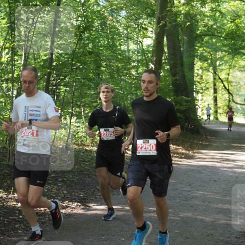 22.09.2024 - 32. Volkslauf durch das schöne Alstertal Miley Keyser http://msf.ph/oto/7136044 22.09.2024 10:42:57 Laufen 2007, 2021, 2285, 2250 meine-sportfotos.de