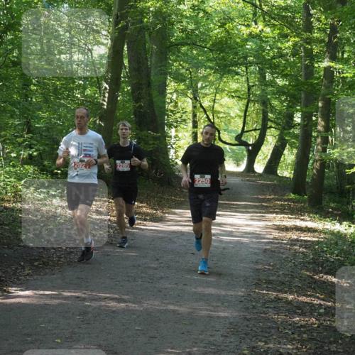 22.09.2024 - 32. Volkslauf durch das schöne Alstertal Miley Keyser http://msf.ph/oto/7136050 22.09.2024 10:42:56 Laufen 202, 2285, 2250 meine-sportfotos.de
