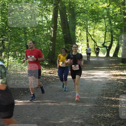 22.09.2024 - 32. Volkslauf durch das schöne Alstertal Miley Keyser http://msf.ph/oto/7136057 22.09.2024 10:42:46 Laufen 2128, 2385, 2479 meine-sportfotos.de