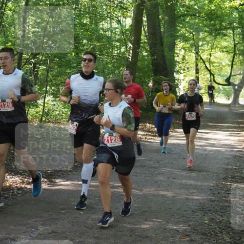 22.09.2024 - 32. Volkslauf durch das schöne Alstertal Miley Keyser http://msf.ph/oto/7136059 22.09.2024 10:42:45 Laufen 2129, 492, 2128, 385, 2479 meine-sportfotos.de